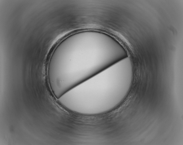 X0000112071364200908251033