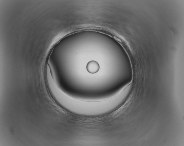 X0000112071365200908251033
