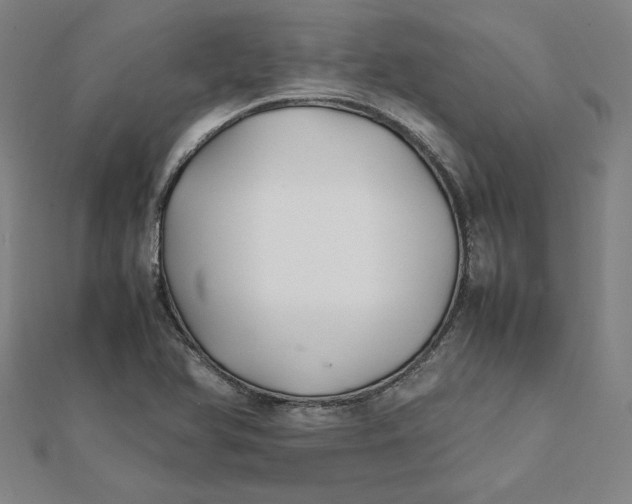X0000112071366200908251033