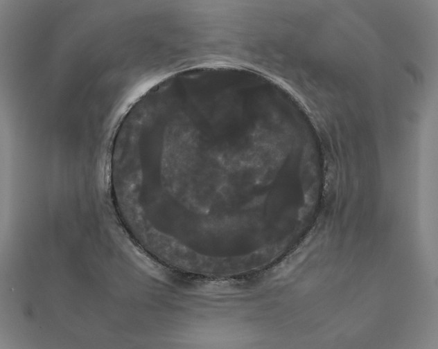 X0000112071367200908251033