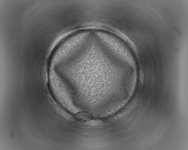 X0000112071368200908251033