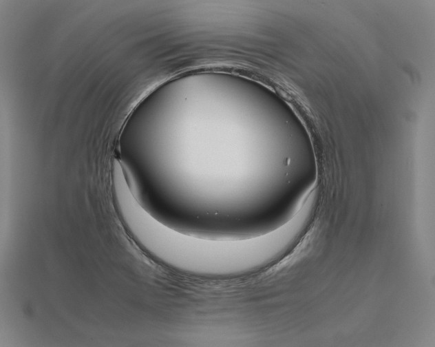 X0000112071369200908251033