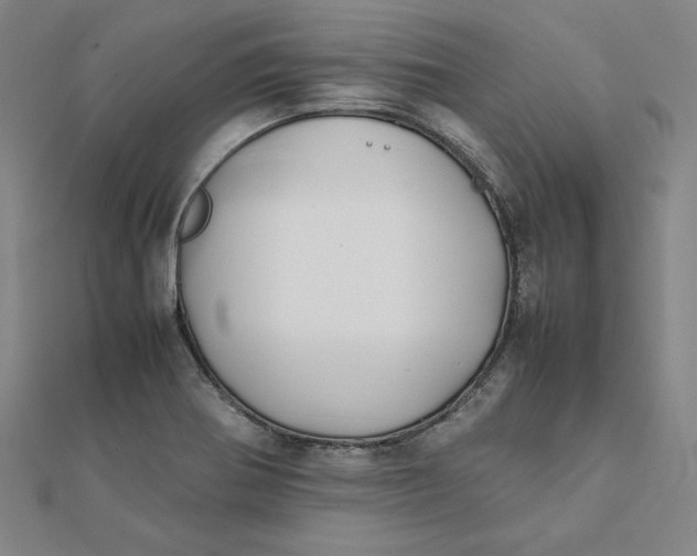 X0000112071370200908251033