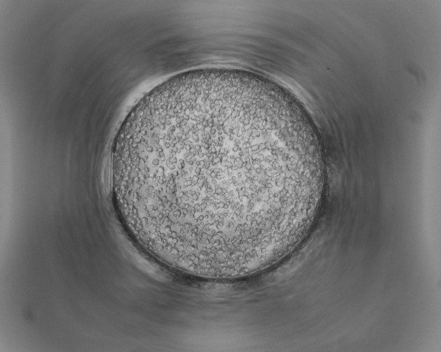 X0000112071371200908251033