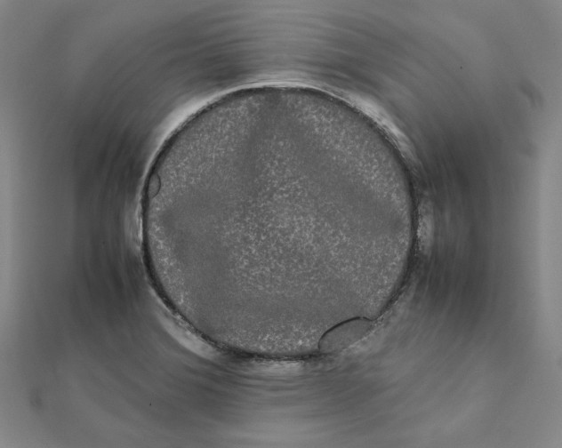 X0000112071372200908251033