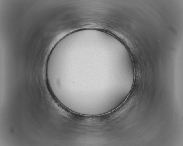 X0000112071375200908251033