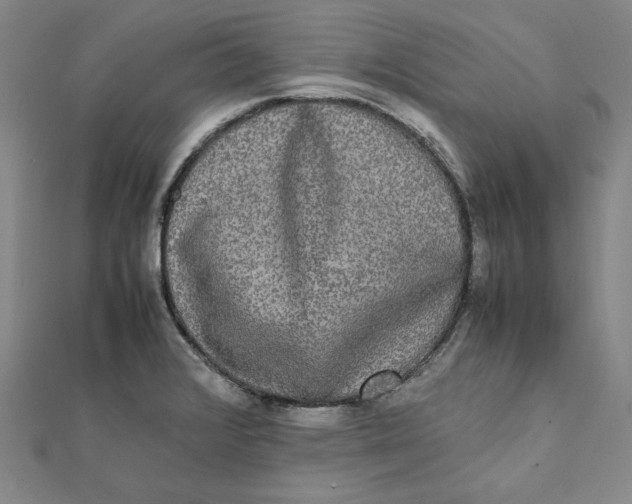 X0000112071376200908251033