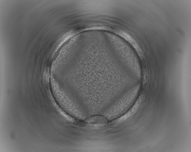 X0000112071377200908251033