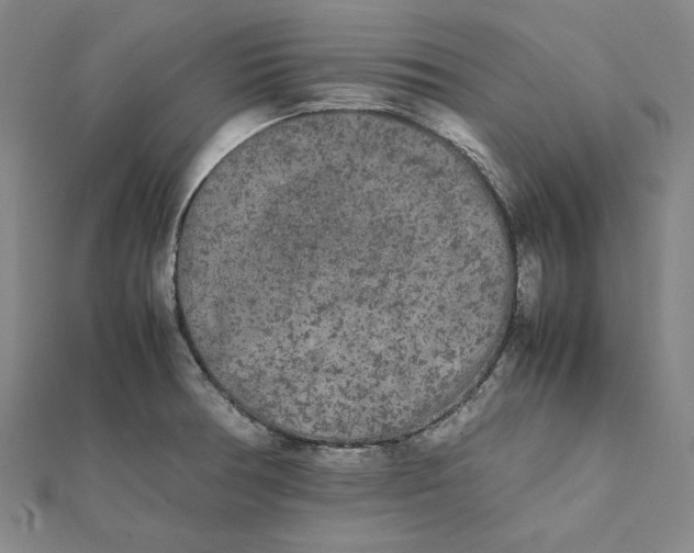 X0000112071378200908251033