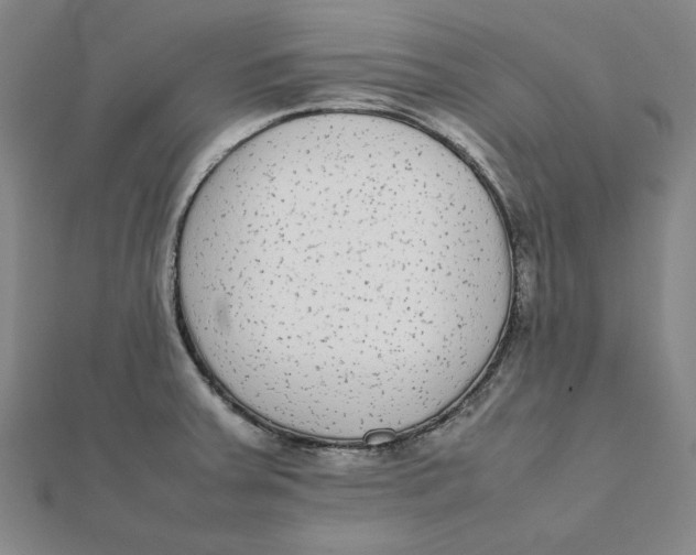 X0000112071379200908251033