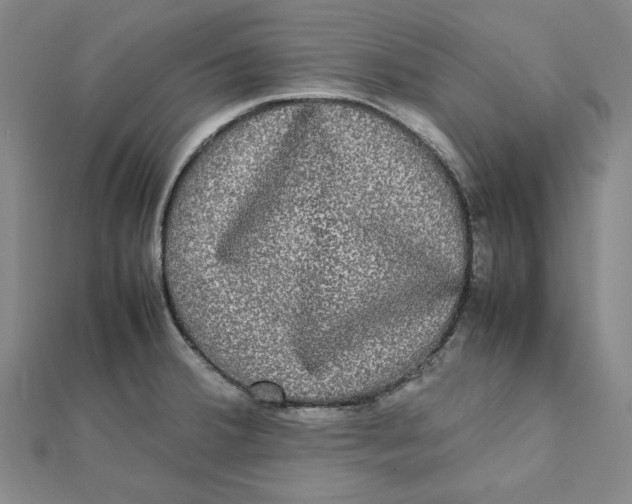 X0000112071380200908251033