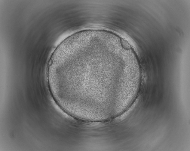 X0000112071382200908251033