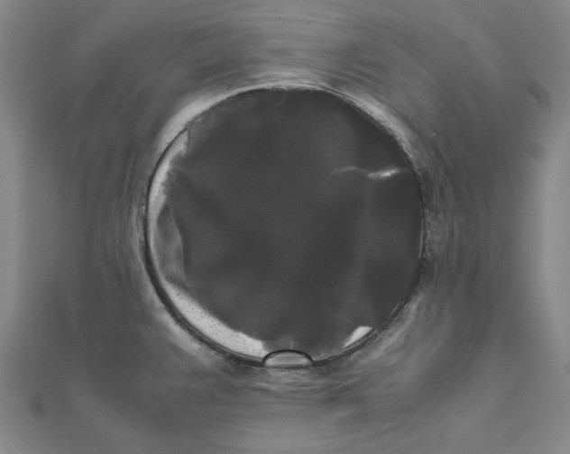 X0000112071383200908251033