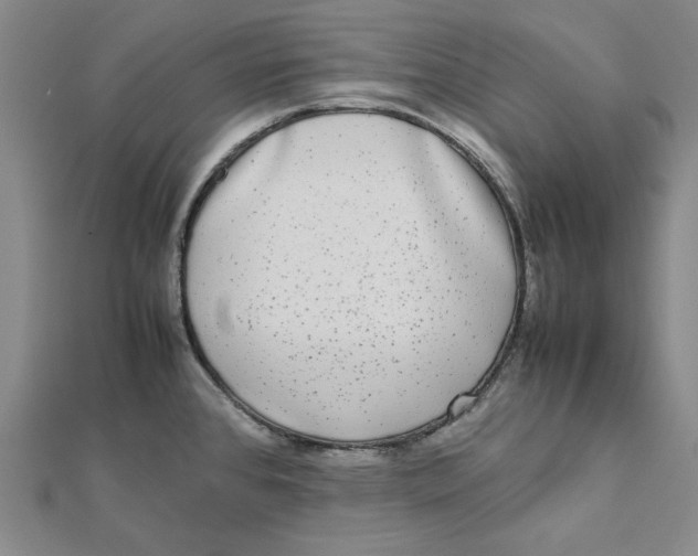 X0000112071384200908251033