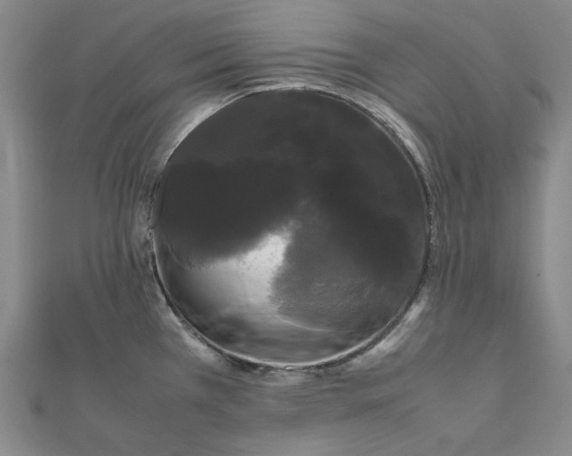 X0000112071385200908251033
