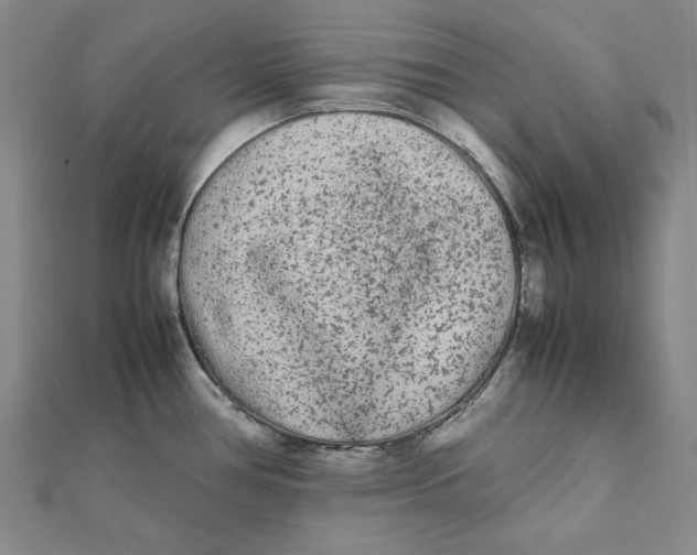 X0000112071386200908251033