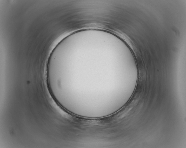 X0000112071387200908251033