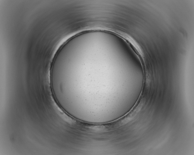 X0000112071388200908251033