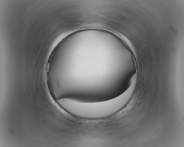 X0000112071389200908251033