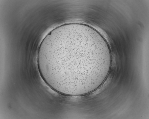 X0000112071390200908251033