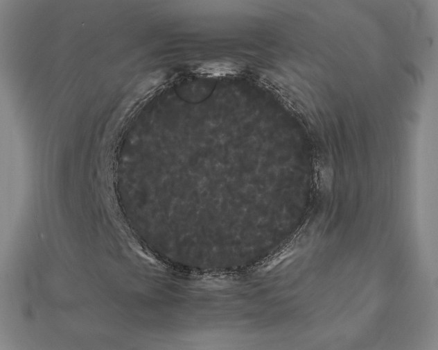 X0000112071393200908251033