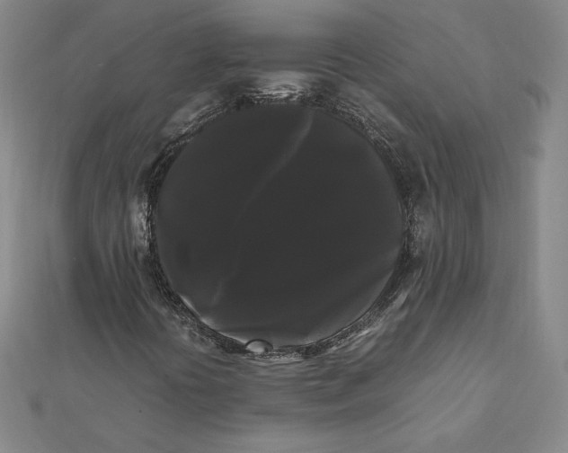 X0000112071394200908251033