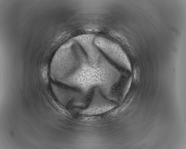 X0000112071396200908251033