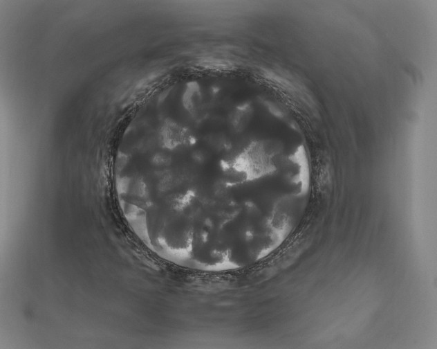X0000112071397200908251033