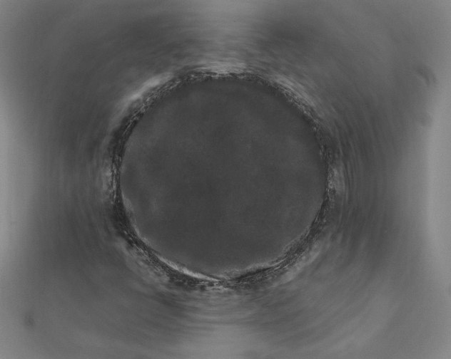 X0000112071398200908251033