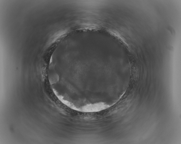 X0000112071399200908251033