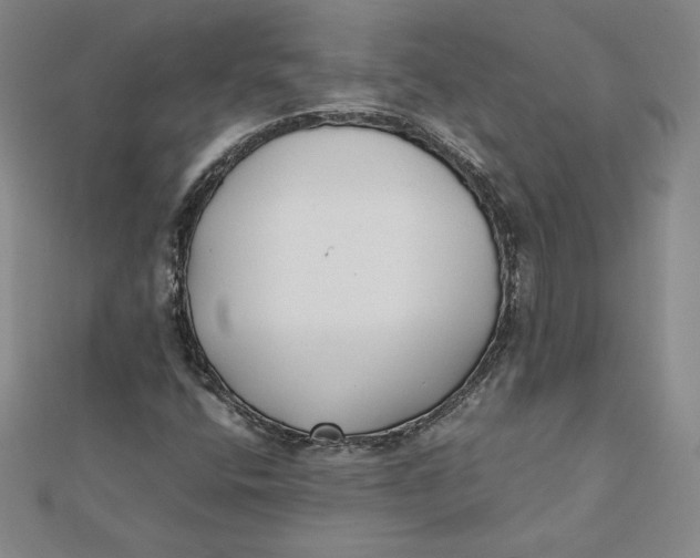 X0000112071400200908251033