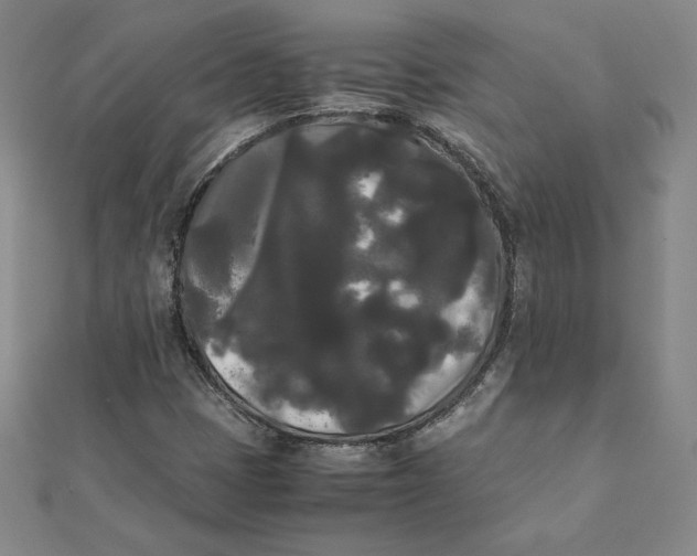 X0000112071401200908251033