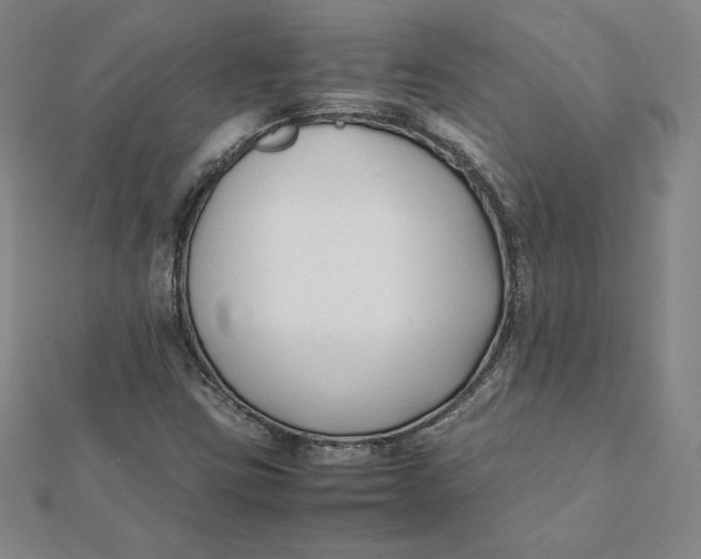 X0000112071403200908251033
