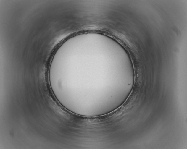 X0000112071404200908251033