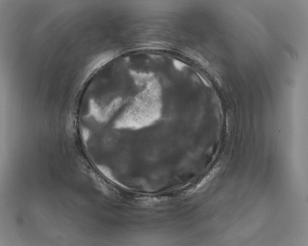 X0000112071405200908251033