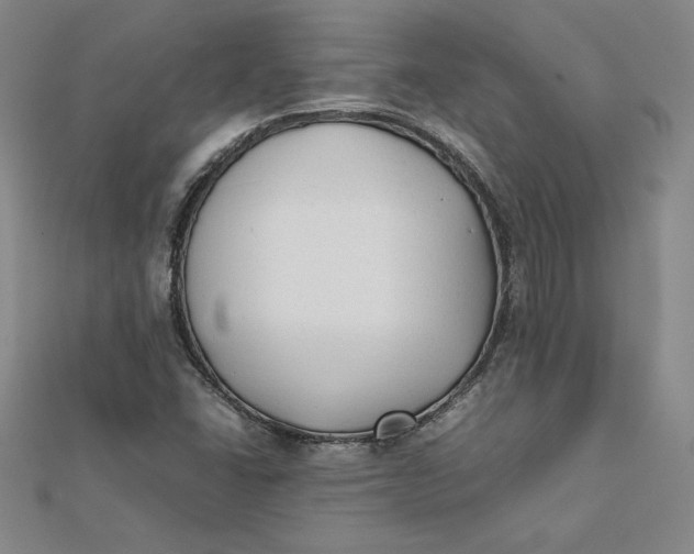 X0000112071406200908251033