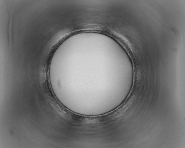 X0000112071407200908251033