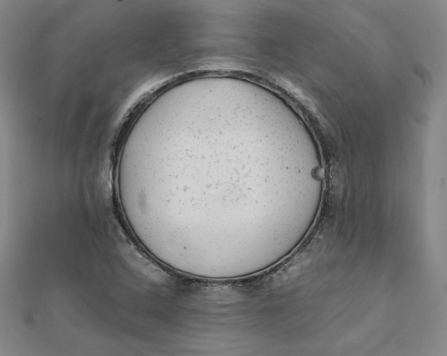 X0000112071408200908251033
