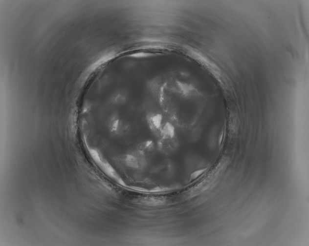 X0000112071411200908251033