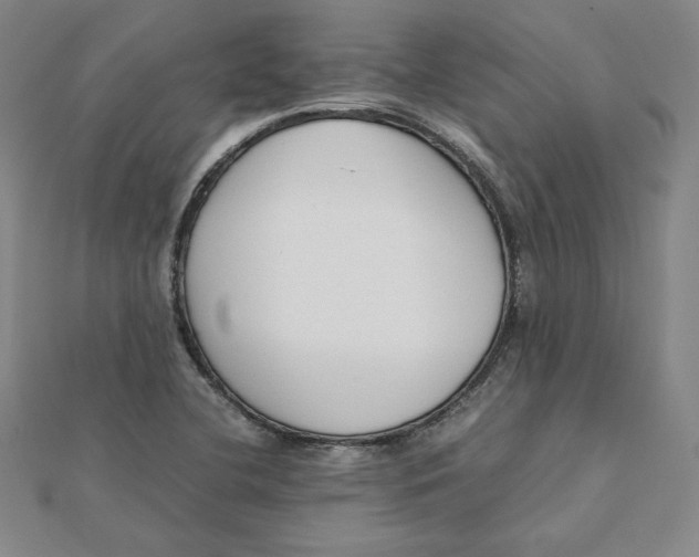 X0000112071412200908251033