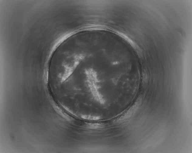 X0000112071413200908251033