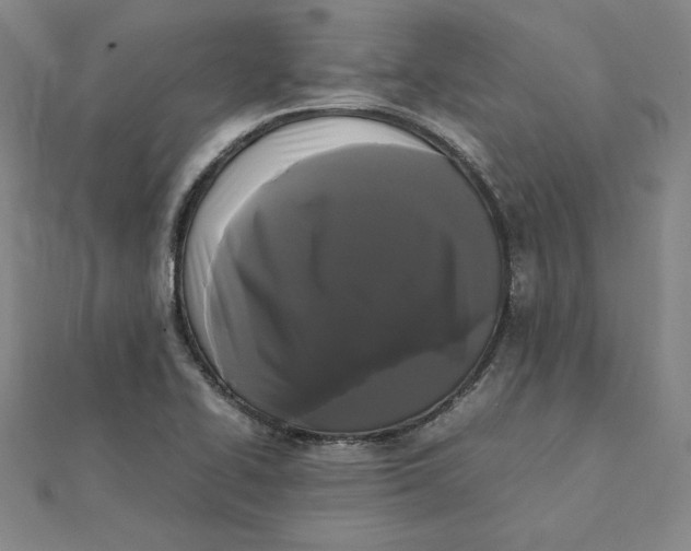 X0000112071414200908251033
