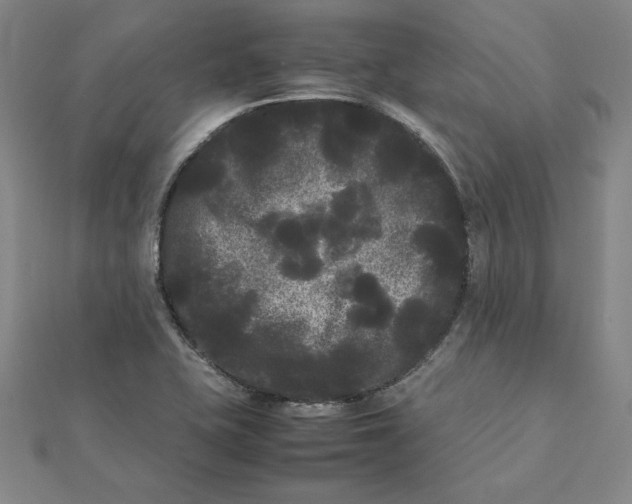 X0000112071415200908251033