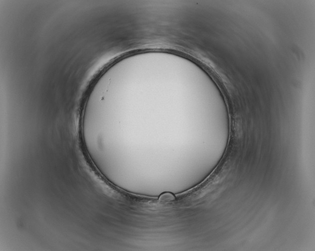 X0000112071416200908251033