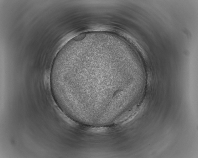 X0000112071417200908251033