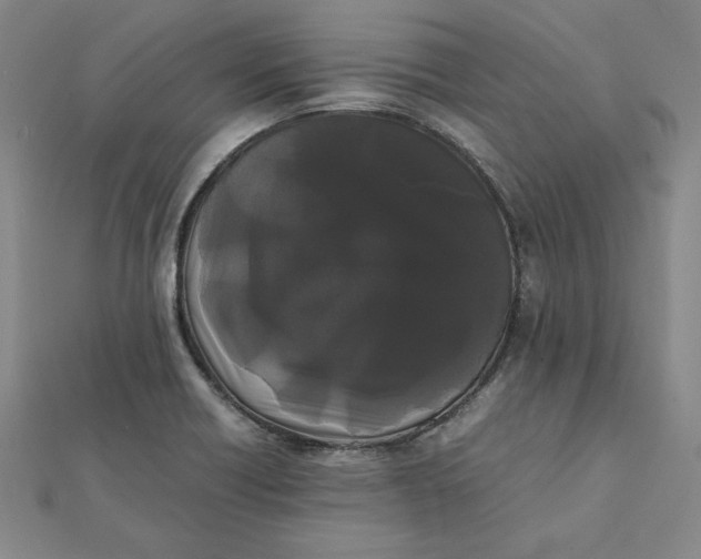 X0000112071418200908251033