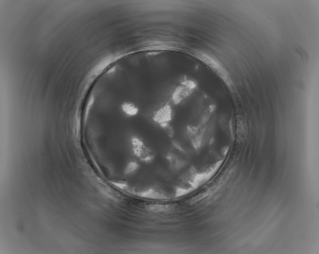 X0000112071419200908251033