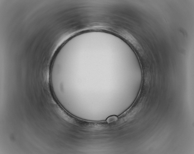 X0000112071420200908251033