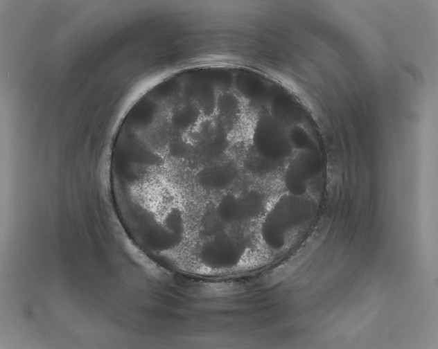 X0000112071421200908251033