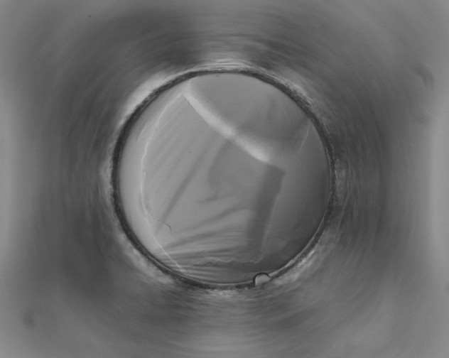 X0000112071422200908251033